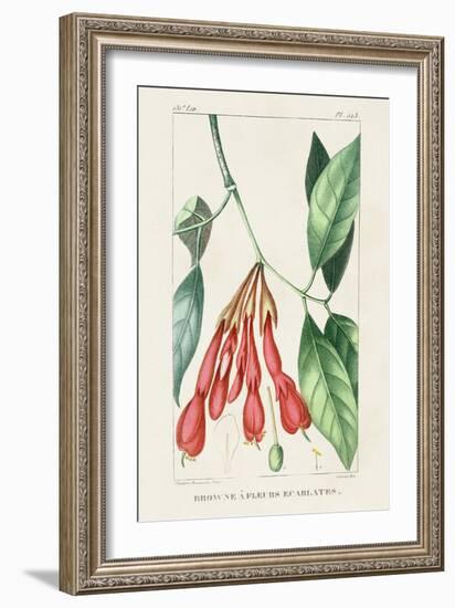 Turpin Tropical Botanicals I-Turpin-Framed Art Print
