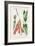 Turpin Tropical Botanicals I-Turpin-Framed Art Print