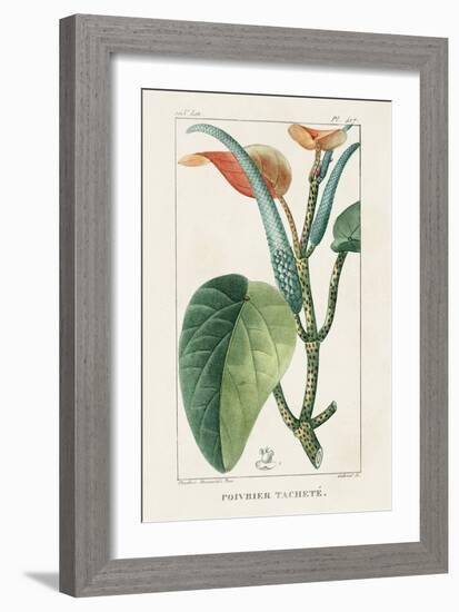 Turpin Tropical Botanicals II-Turpin-Framed Art Print