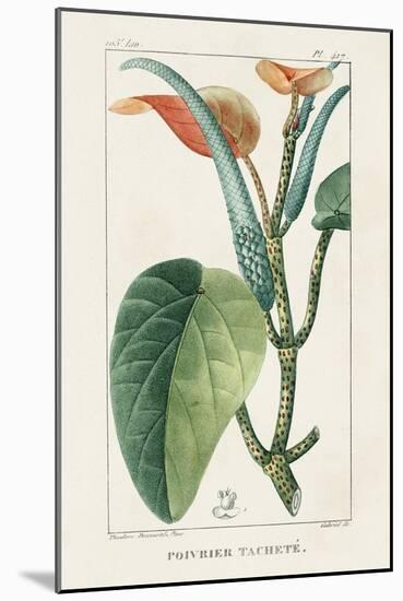 Turpin Tropical Botanicals II-Turpin-Mounted Art Print