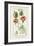 Turpin Tropical Botanicals IV-Turpin-Framed Art Print