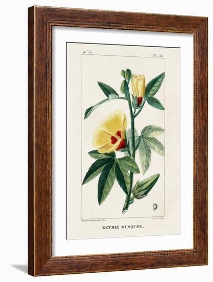 Turpin Tropical Botanicals VI-Turpin-Framed Art Print