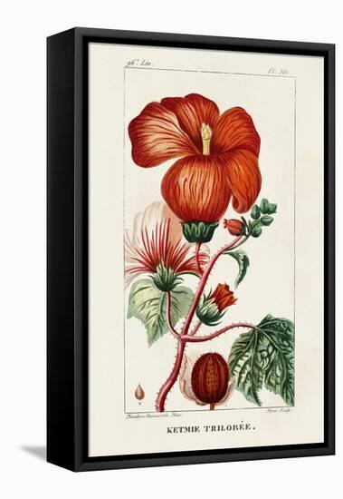 Turpin Tropical Botanicals VII-Turpin-Framed Stretched Canvas