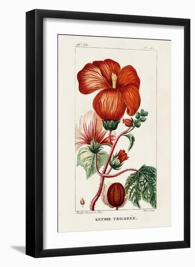 Turpin Tropical Botanicals VII-Turpin-Framed Art Print