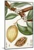 Turpin Tropical Fruit II-Turpin-Mounted Art Print