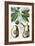 Turpin Tropical Fruit V-Turpin-Framed Art Print