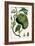 Turpin Tropical Fruit VIII-Turpin-Framed Art Print