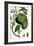 Turpin Tropical Fruit VIII-Turpin-Framed Art Print