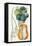 Turpin Tropical Fruit XII-Turpin-Framed Stretched Canvas