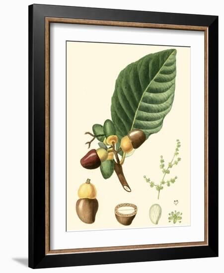 Turpin Tropicals V-Turpin-Framed Art Print