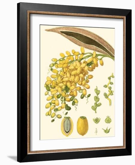 Turpin Tropicals VIII-Turpin-Framed Art Print