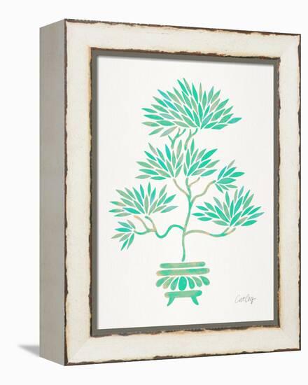 Turquoise Bonsai-Cat Coquillette-Framed Premier Image Canvas