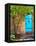 Turquoise Door, Santa Fe, New Mexico-Tom Haseltine-Framed Premier Image Canvas