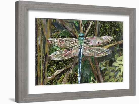 Turquoise Dragonfly-Kirstie Adamson-Framed Giclee Print