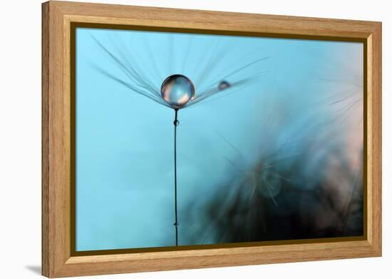 Turquoise Evening-Heidi Westum-Framed Premier Image Canvas