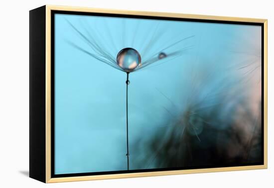 Turquoise Evening-Heidi Westum-Framed Premier Image Canvas