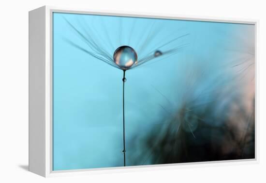 Turquoise Evening-Heidi Westum-Framed Premier Image Canvas