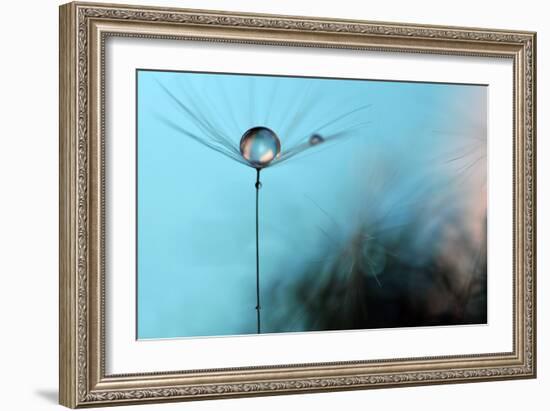 Turquoise Evening-Heidi Westum-Framed Photographic Print
