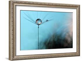 Turquoise Evening-Heidi Westum-Framed Photographic Print