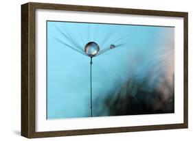 Turquoise Evening-Heidi Westum-Framed Photographic Print
