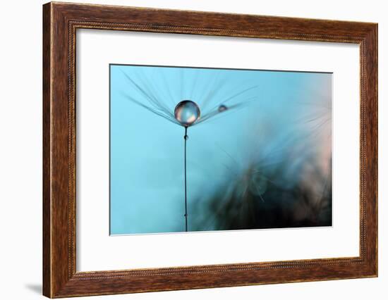 Turquoise Evening-Heidi Westum-Framed Photographic Print