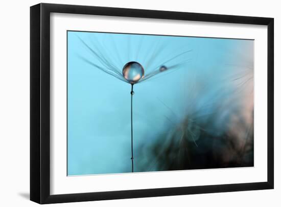 Turquoise Evening-Heidi Westum-Framed Photographic Print