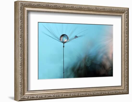 Turquoise Evening-Heidi Westum-Framed Photographic Print