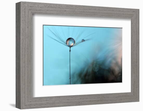 Turquoise Evening-Heidi Westum-Framed Photographic Print