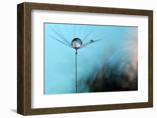 Turquoise Evening-Heidi Westum-Framed Photographic Print