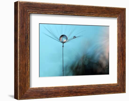 Turquoise Evening-Heidi Westum-Framed Photographic Print