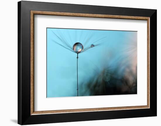 Turquoise Evening-Heidi Westum-Framed Photographic Print