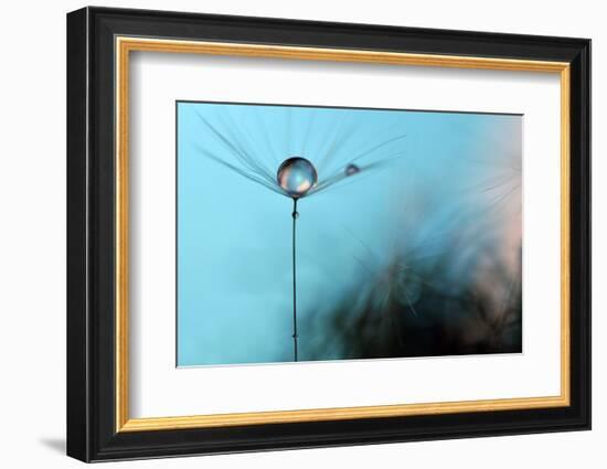 Turquoise Evening-Heidi Westum-Framed Photographic Print