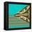 Turquoise Kai-Belen Mena-Framed Premier Image Canvas