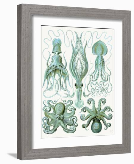 Turquoise Octopus and Squid b-Fab Funky-Framed Art Print