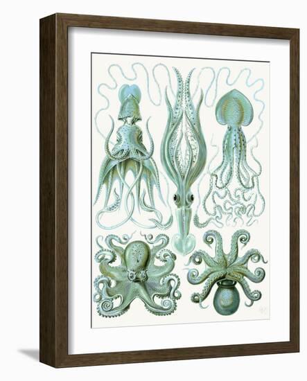 Turquoise Octopus and Squid b-Fab Funky-Framed Art Print