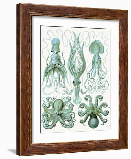 Turquoise Octopus and Squid b-Fab Funky-Framed Art Print