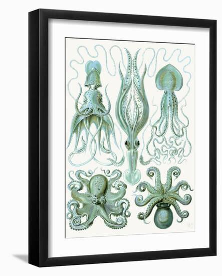 Turquoise Octopus and Squid b-Fab Funky-Framed Art Print