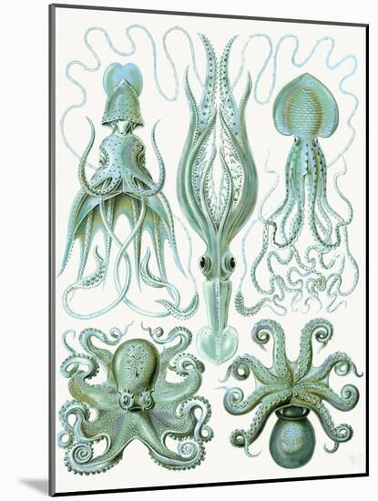Turquoise Octopus and Squid b-Fab Funky-Mounted Art Print