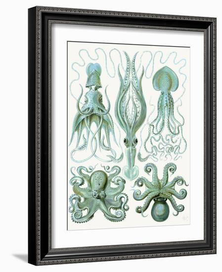 Turquoise Octopus and Squid b-Fab Funky-Framed Art Print