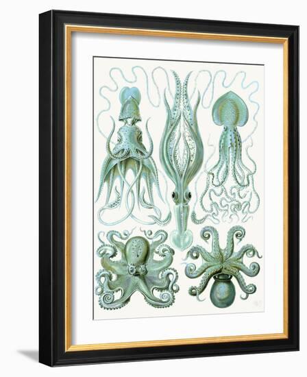 Turquoise Octopus and Squid b-Fab Funky-Framed Art Print