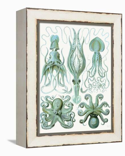 Turquoise Octopus and Squid b-Fab Funky-Framed Stretched Canvas