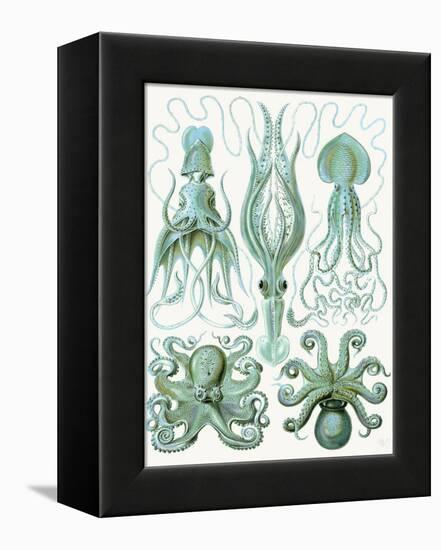 Turquoise Octopus and Squid b-Fab Funky-Framed Stretched Canvas