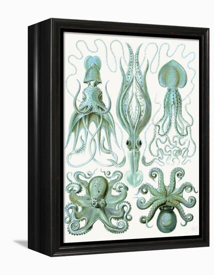 Turquoise Octopus and Squid b-Fab Funky-Framed Stretched Canvas