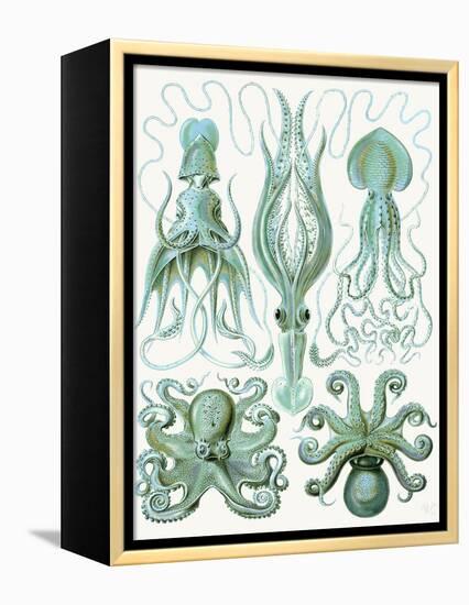 Turquoise Octopus and Squid b-Fab Funky-Framed Stretched Canvas