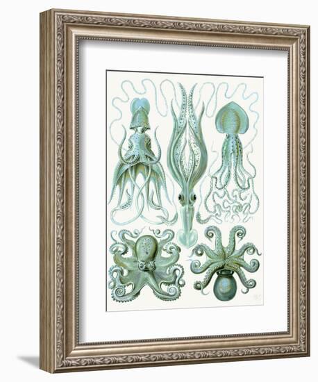 Turquoise Octopus and Squid b-Fab Funky-Framed Art Print