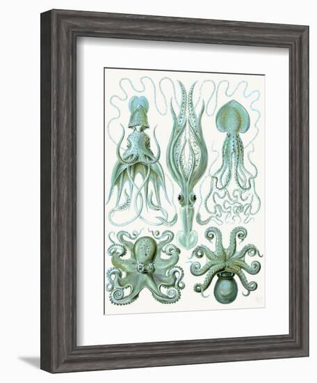 Turquoise Octopus and Squid b-Fab Funky-Framed Art Print
