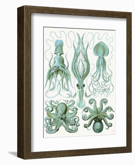 Turquoise Octopus and Squid b-Fab Funky-Framed Art Print