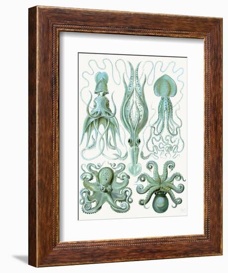 Turquoise Octopus and Squid b-Fab Funky-Framed Art Print