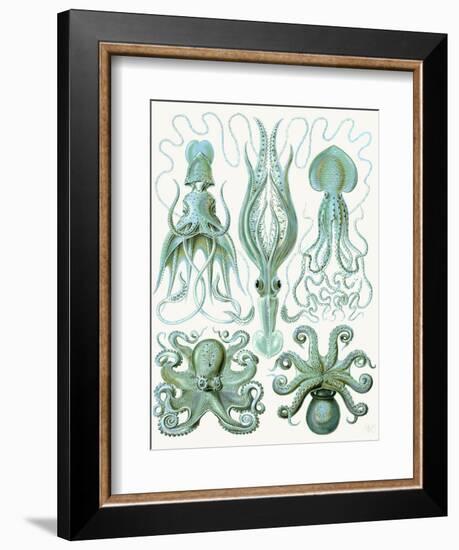 Turquoise Octopus and Squid b-Fab Funky-Framed Art Print