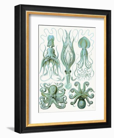 Turquoise Octopus and Squid b-Fab Funky-Framed Art Print